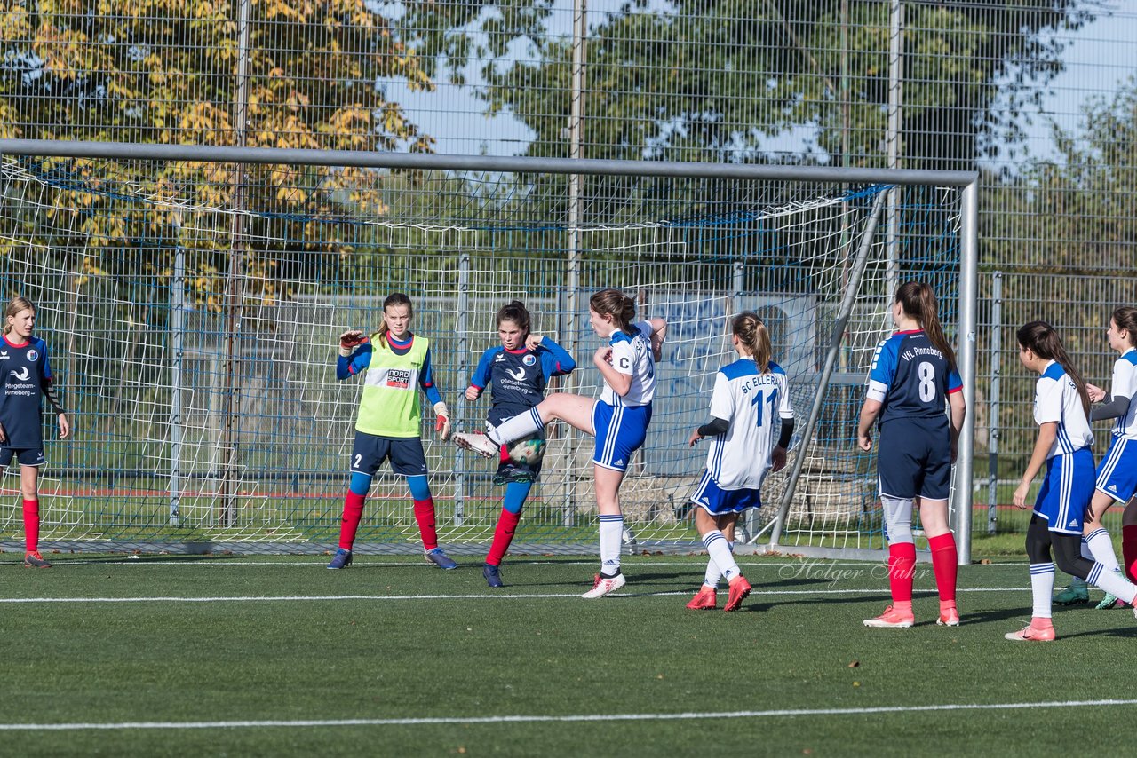 Bild 172 - B-Juniorinnen Ellerau - VfL Pinneberg 1C : Ergebnis: 4:3